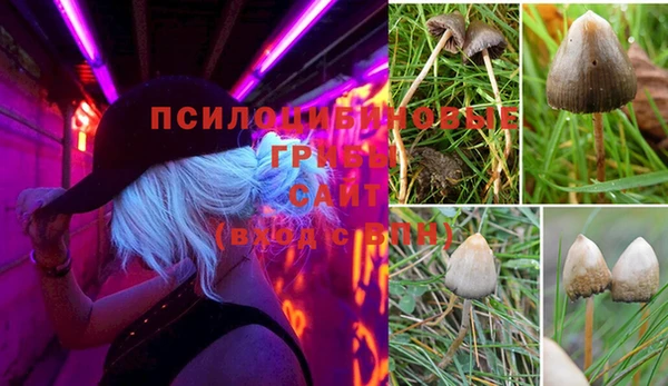 герыч Абаза