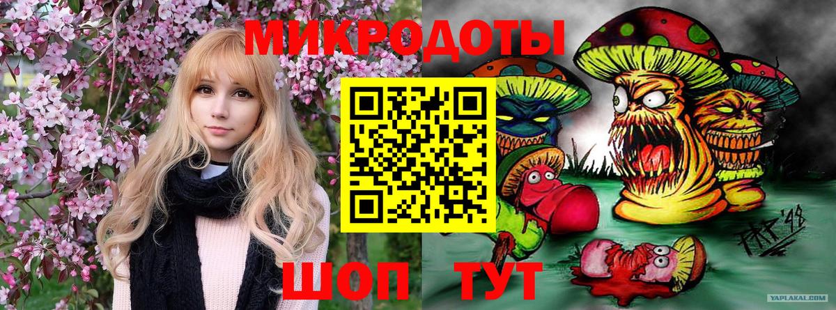 Псилоцибиновые грибы GOLDEN TEACHER Химки