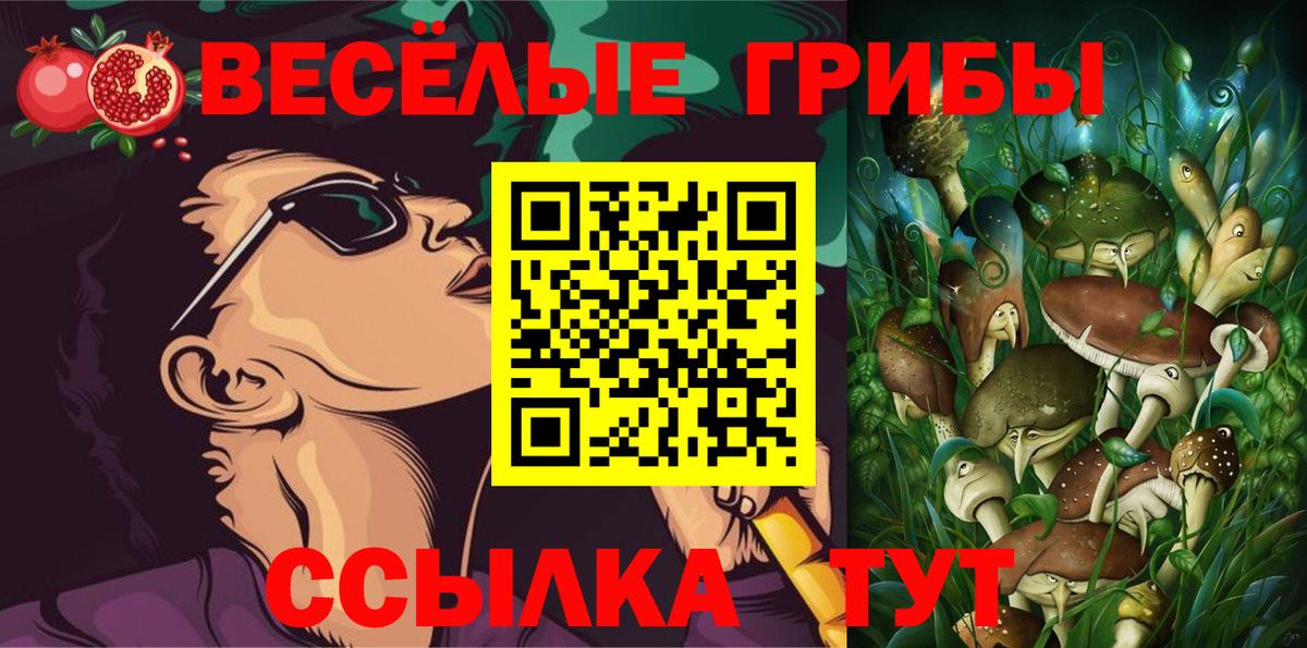 магазин продажи   Вход с VPN  Химки  Галлюциногенные грибы GOLDEN TEACHER 